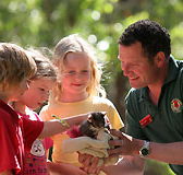 Cleland Wildlife Park - Maitland Accommodation