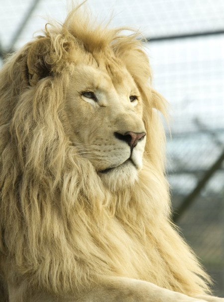 Zoo Doo Wildlife Park - Maitland Accommodation 3