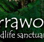Warrawong Wildlife Park - Maitland Accommodation