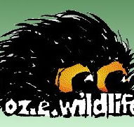OZe Wildlife - Maitland Accommodation