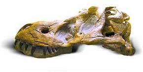 Australia Walkabout Wildlife Park - Maitland Accommodation 2