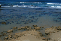 Canberra Contemporary Art Space - Maitland Accommodation 0