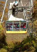 Scenic World Blue Mountains - Maitland Accommodation 1