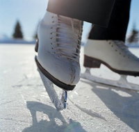 Olympic Ice Skating Centre - Maitland Accommodation
