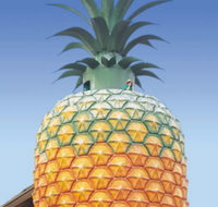 The Big Pineapple - Maitland Accommodation