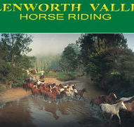 Glenworth Valley Horseriding - Maitland Accommodation