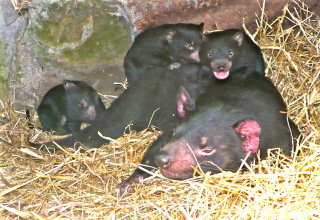  Maitland Accommodation