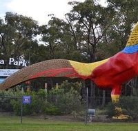 Gumbuya Park - Maitland Accommodation