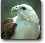 Kakadu National Park - Maitland Accommodation