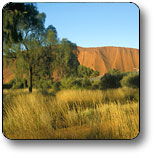Uluru NT Maitland Accommodation