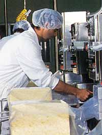 Allansford Cheese World - Maitland Accommodation 1