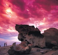 Kangaroo Island Adventure Tour 2 day/1 night - Maitland Accommodation