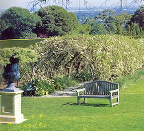 Carrick Hill - Maitland Accommodation 2