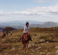 High Country Horses - Maitland Accommodation