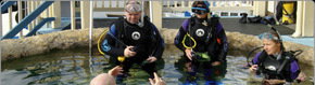 Scuba World - Maitland Accommodation 2