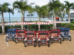 Beach Safaris - Maitland Accommodation 1