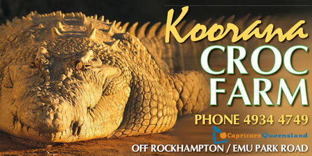 Koorana Saltwater Crocodile Farm - Maitland Accommodation 0