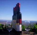 Mount Tamborine Winery  Homestead - Maitland Accommodation