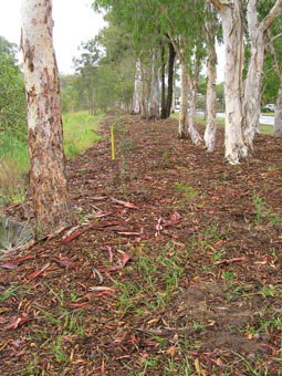 Kumbartcho Sanctuary - Maitland Accommodation 1