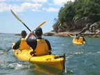 Sydney Harbour Kayaks - Maitland Accommodation 1