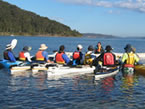 Sydney Harbour Kayaks - Maitland Accommodation 2