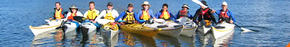 Sydney Harbour Kayaks - Maitland Accommodation 3