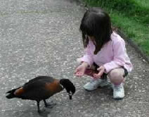 Urimbirra Wildlife Park - Maitland Accommodation 3