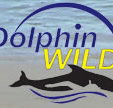 Dolphin Wild - Maitland Accommodation