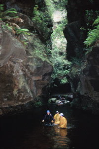 High And Wild Mountain Adventures - Maitland Accommodation 1