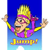 Aerial Skydiving - Maitland Accommodation 0