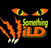 Something Wild - Maitland Accommodation