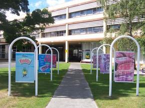 Cadbury Chocolate Factory Tour - Maitland Accommodation 2
