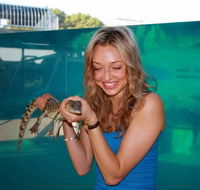 Crocosaurus Cove - Maitland Accommodation