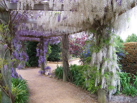 Abingdon Miniature Village - Maitland Accommodation 0