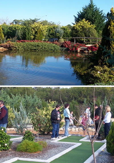 Abingdon Miniature Village - Maitland Accommodation 2