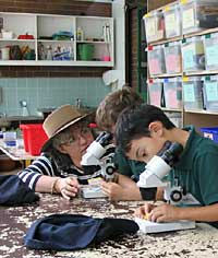 Australian National Botanic Gardens - Maitland Accommodation 2