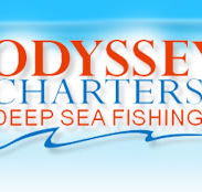 Odyssey Charters - Maitland Accommodation