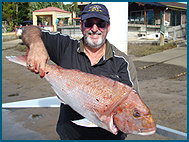 Odyssey Charters - Maitland Accommodation 1