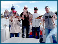 Odyssey Charters - Maitland Accommodation 2