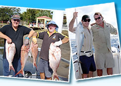Odyssey Charters - Maitland Accommodation 3