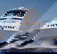 Sunshine Coast Fishing Charters - Maitland Accommodation