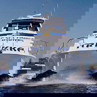 Sunshine Coast Fishing Charters - Maitland Accommodation 0