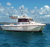 Sunshine Coast Fishing Charters - Maitland Accommodation 1