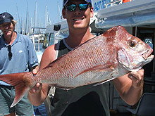 Sunshine Coast Fishing Charters - Maitland Accommodation 2