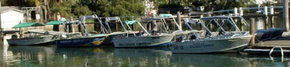Brooklyn Central Boat Hire & General Store - Maitland Accommodation 1