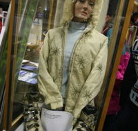 Alpine Museum - Maitland Accommodation