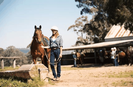 Watsons Trail Rides - Maitland Accommodation