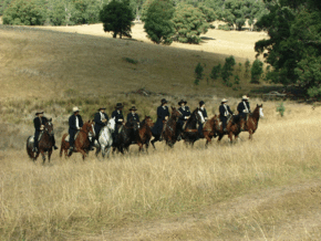 McCormacks Mountain Valley Trail Rides - Maitland Accommodation