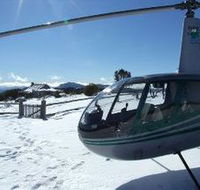 Alpine Helicopter Charter Scenic Tours - Maitland Accommodation