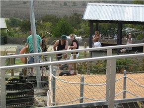 Auldana SA Maitland Accommodation